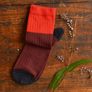 FUB Merino Wool Socks - Fine Colourblock Knit (Adults)