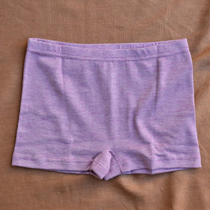Women's Boy Leg Cheeky Cut Briefs - Organic Cotton/Wool/Silk