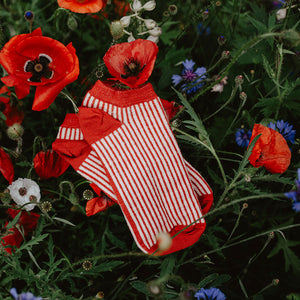 Jacquard Ankle Socks - Merino Wool - Stripes (Adults 38-45)