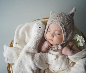 Cuddly Goose Toy/Heat Pack in Organic Cotton/Lambswool - White (Small)