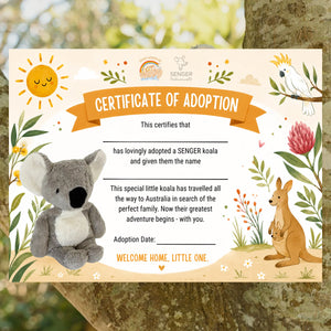 Cuddly Koala with Heat Pack in Organic Cotton/Lambswool (Limited Edition)