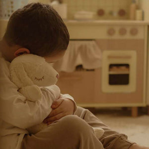 Cuddly Sheep Toy/Heat Pack in Organic Cotton/Lambswool - White (Large)