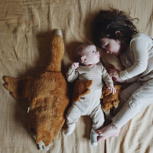 Cuddly Goose Toy/Heat Pack in Organic Cotton/Lambswool - Rust *Limited Edition