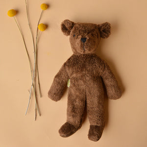 Floppy Bear Toy in Organic Cotton/Lambswool (Small)
