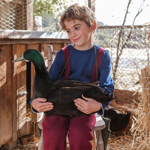 Classic Merino Kids Jumper (1-10y) *Retired style