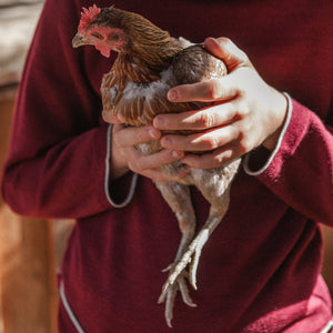 Classic Merino Kids Jumper (1-10y) *Retired style