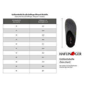 Wool Felt Slippers - Blizzard - Taupe (Adults 36-46) *Restocking Feb