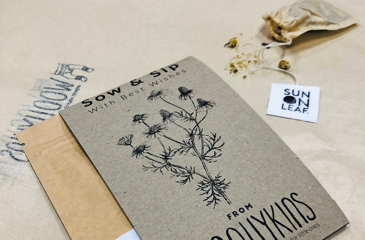 Chamomile: The Angel Herb for Families