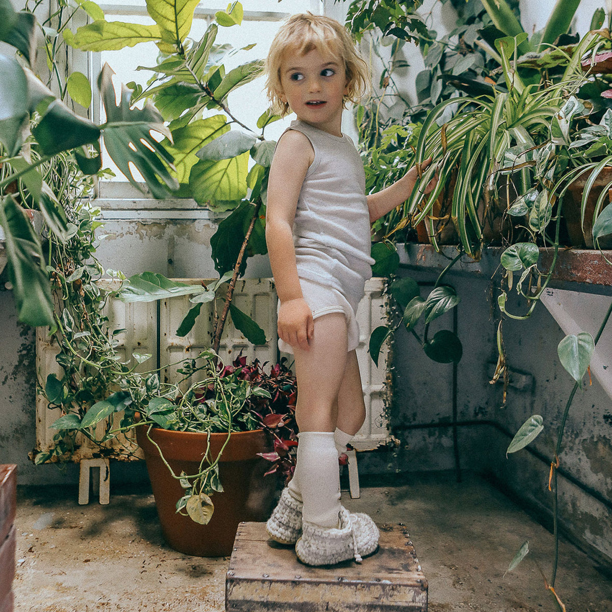 Child's Undies - Organic Cotton/Merino/Silk (2-12y)