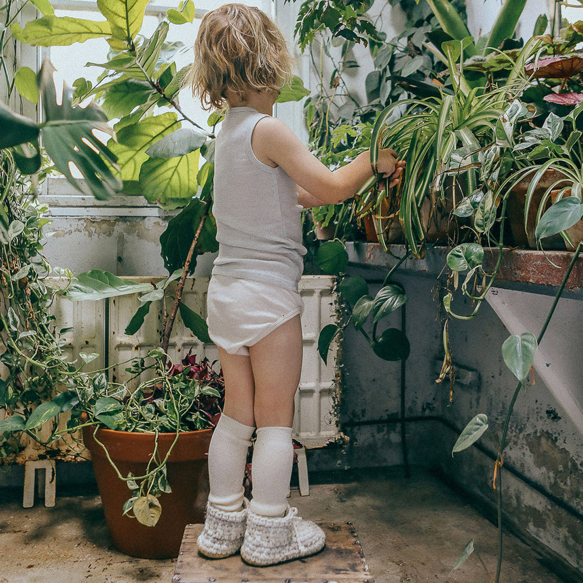 Child's Undies - Organic Cotton/Merino/Silk (2-12y)