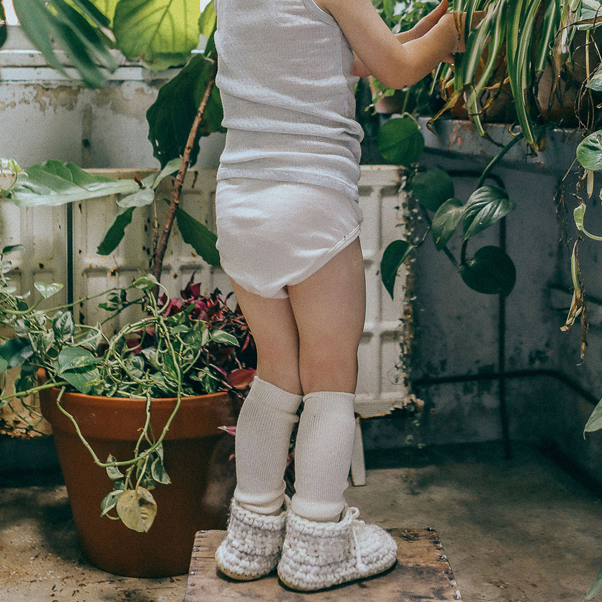 Child's Undies - Organic Cotton/Merino/Silk (2-12y)