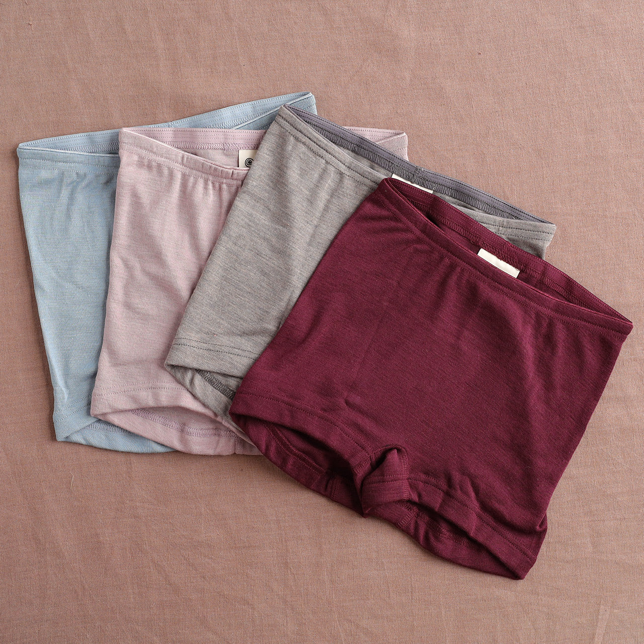 Women's Boy Leg Briefs - Organic Merino/Silk