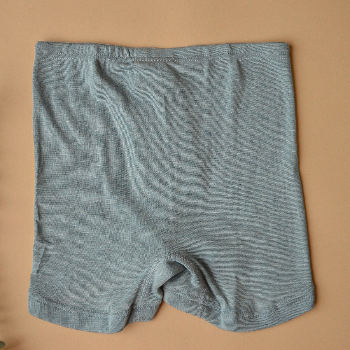 Women's Boy Leg Briefs - Organic Merino/Silk
