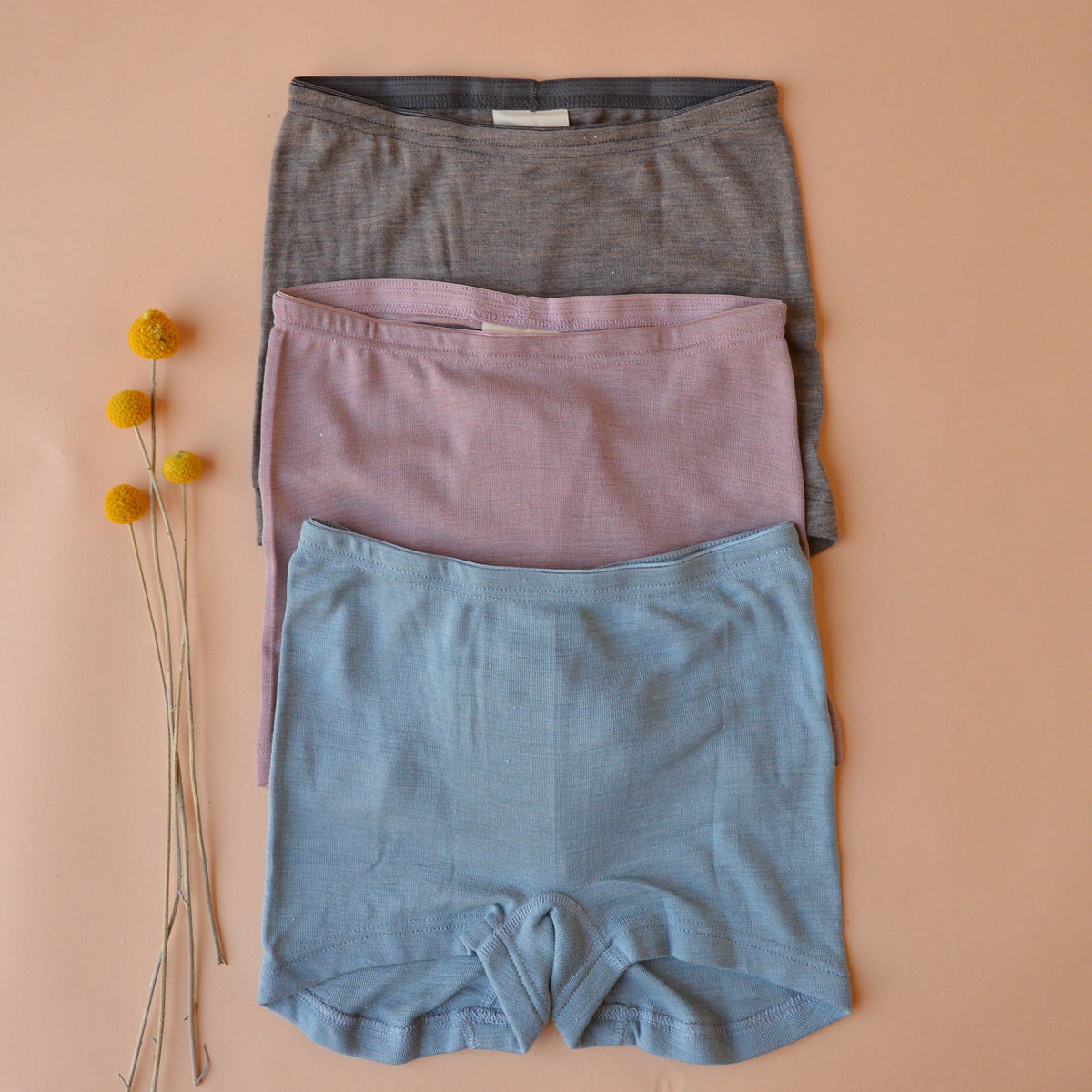 Women's Boy Leg Briefs - Organic Merino/Silk