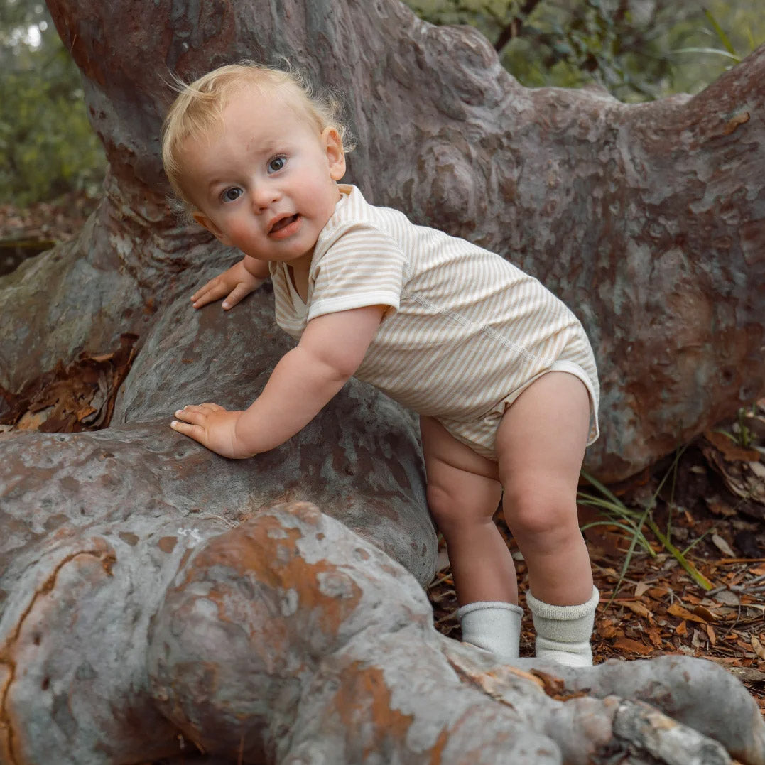 Baby Short Sleeve Bodysuit - Undyed Organic Heirloom Cotton - Stripes (Newborn-2y)
