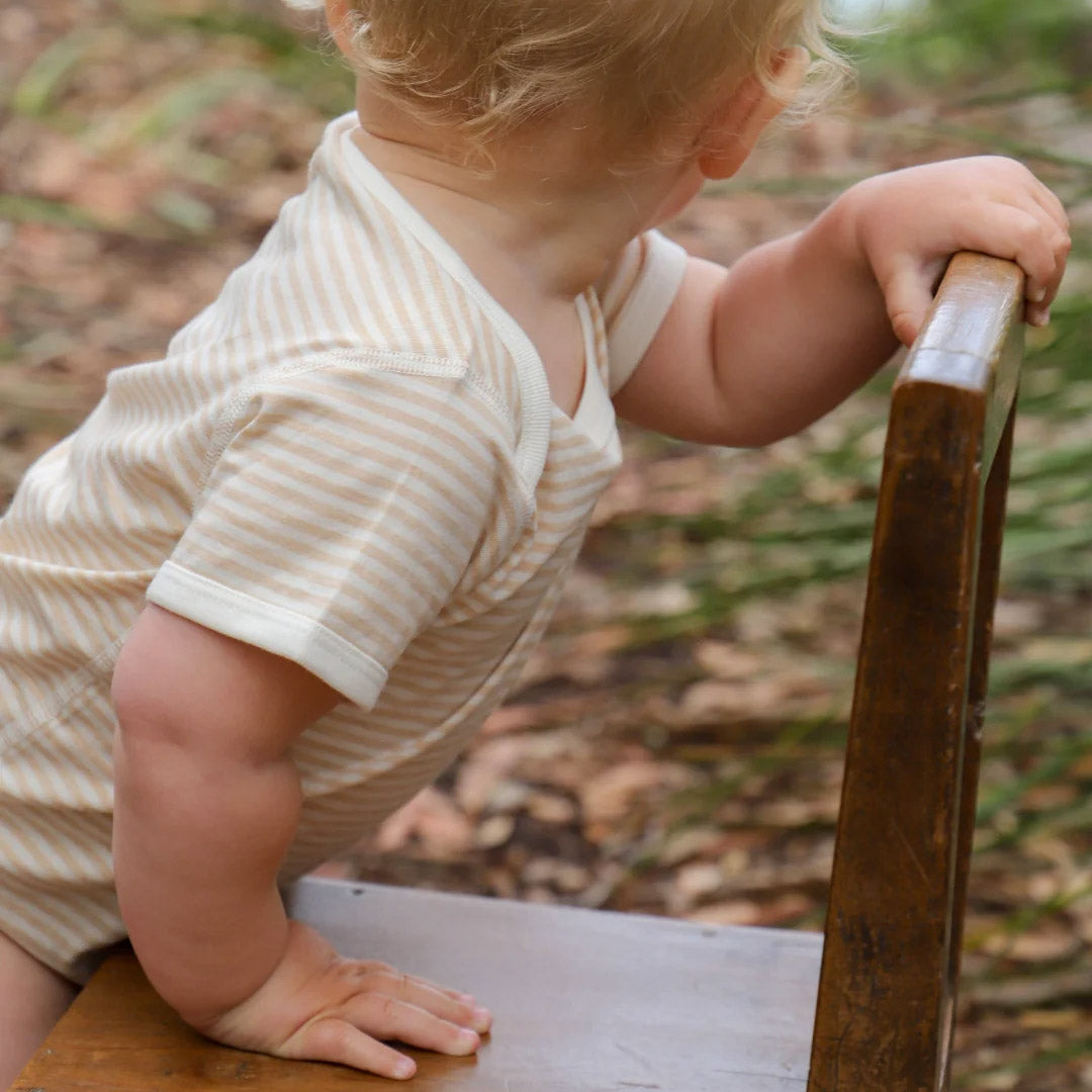 Baby Short Sleeve Bodysuit - Undyed Organic Heirloom Cotton - Stripes (Newborn-2y)
