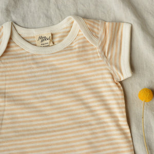Baby Short Sleeve Bodysuit - Undyed Organic Heirloom Cotton - Stripes (Newborn-2y)