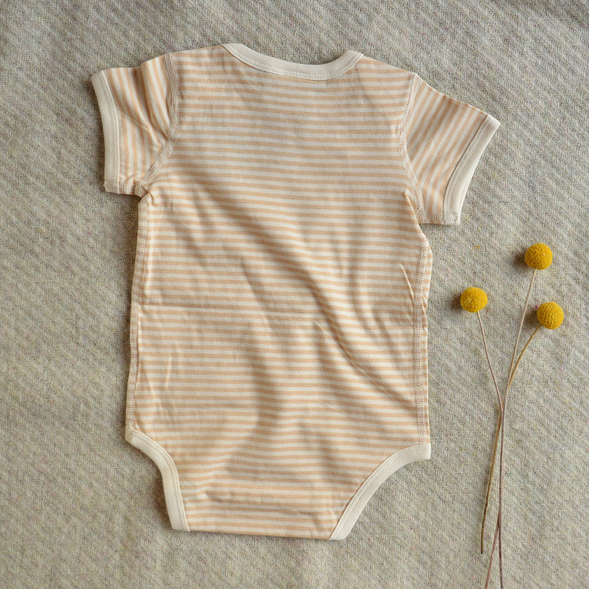 Baby Short Sleeve Bodysuit - Undyed Organic Heirloom Cotton - Stripes (Newborn-2y)