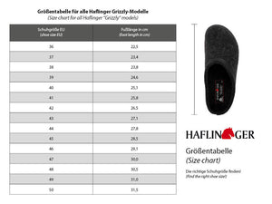 Haflinger Wool Felt Clogs - Manhattan - Taupe (Adults 36-42)