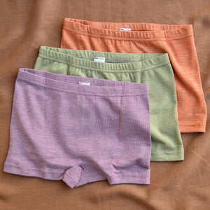 Women's Boy Leg Briefs - Organic Cotton/Wool/Silk