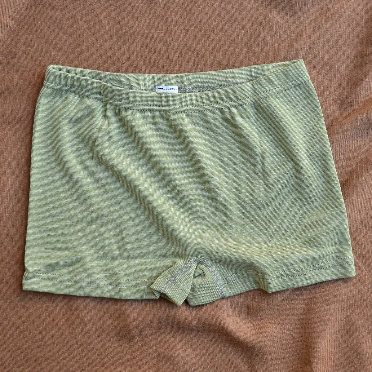 Women's Boy Leg Cheeky Cut Briefs - Organic Cotton/Wool/Silk