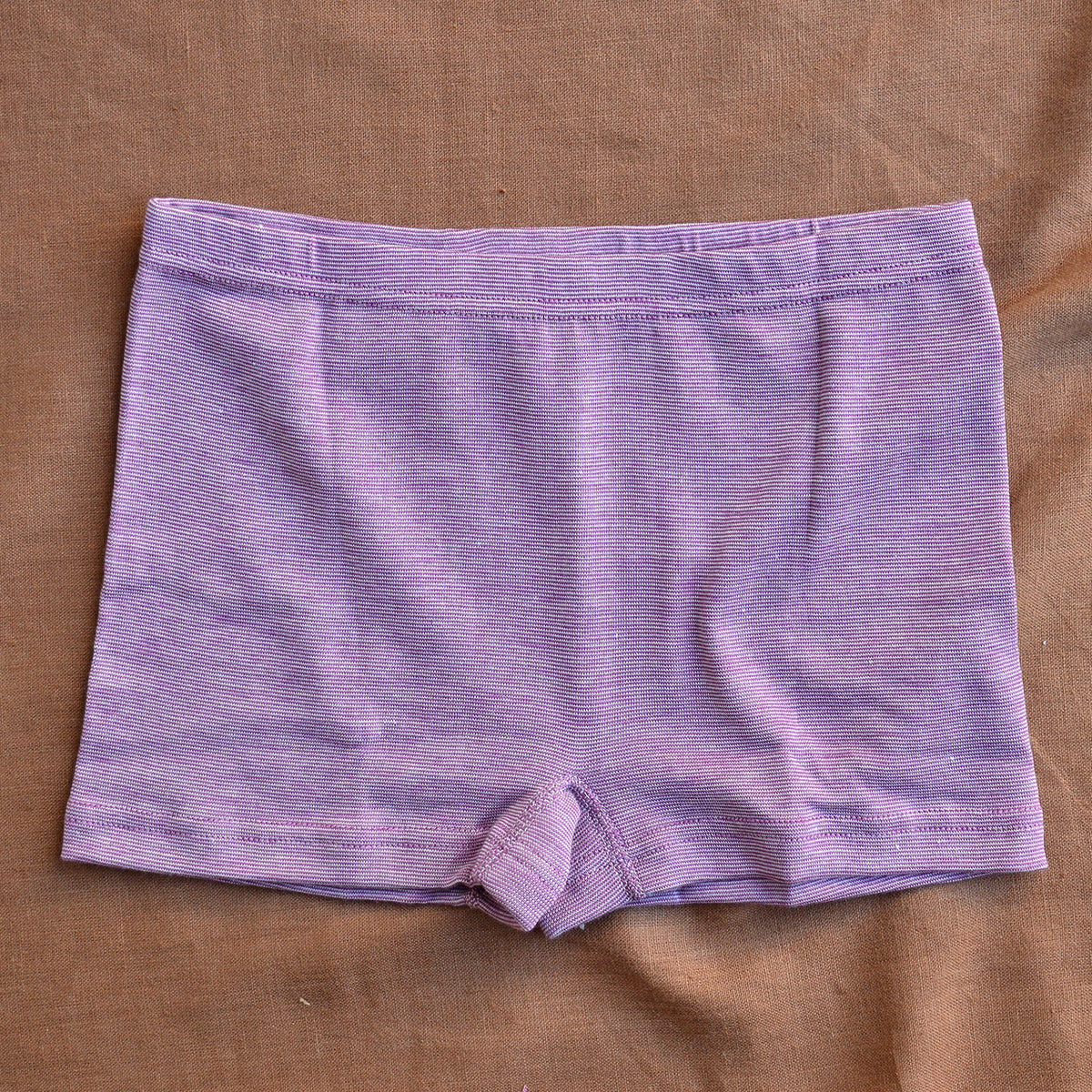 Women's Boy Leg Cheeky Cut Briefs - Organic Cotton/Wool/Silk