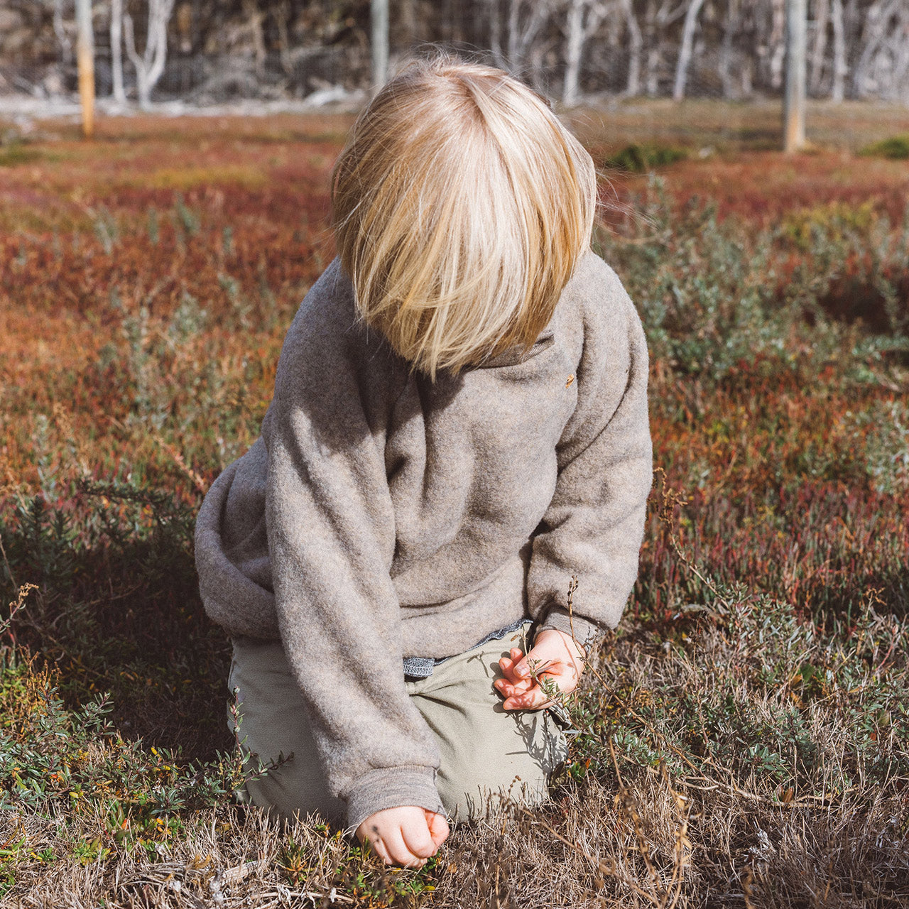 Baby Raglan Jumper - 100% Organic Wool Fleece - Walnut (3m-6y)