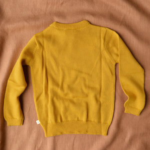 Knit Pullover - 100% Organic Merino (6m-4y)
