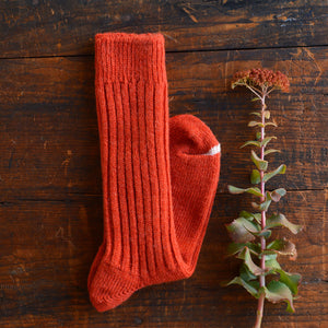 Praha Wool Ribbed Socks (Adults)