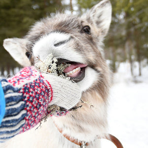 Double Wool Mittens - 100% Merino - Lycksele (Adults)