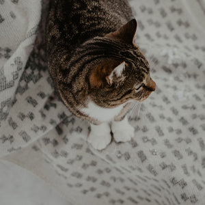 Jacquard Woven Blanket - 100% Wool - Skaftö (130x90cm)