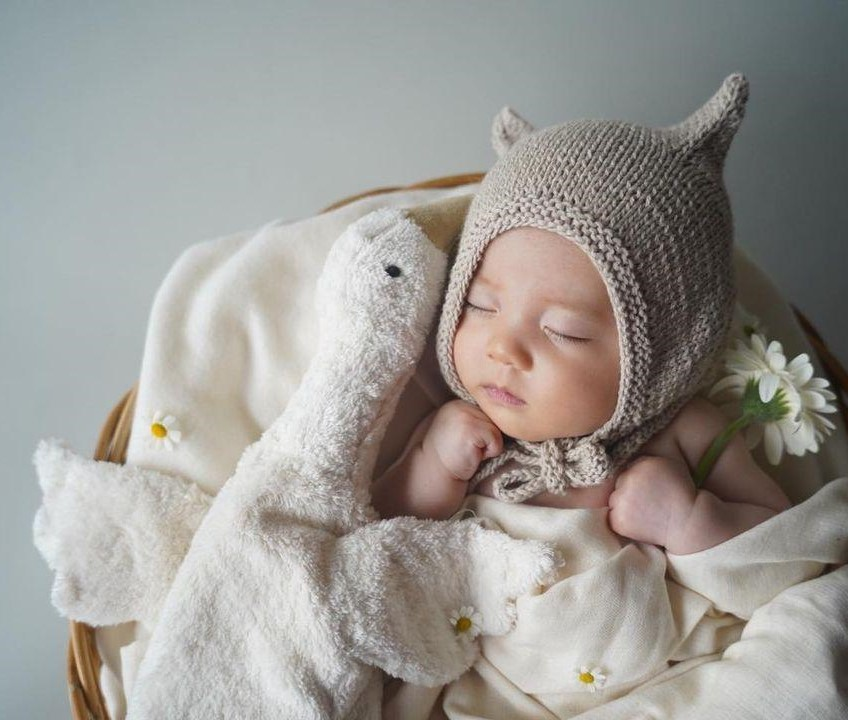 Cuddly Goose Toy/Heat Pack in Organic Cotton/Lambswool - White (Small)