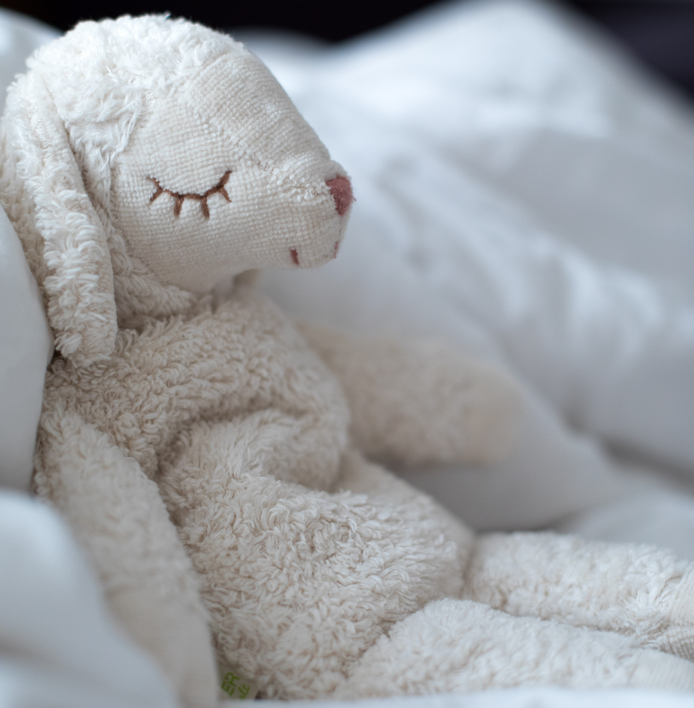 Cuddly Sheep Toy/Heat Pack in Organic Cotton/Lambswool - White (Small) *Returning 2026