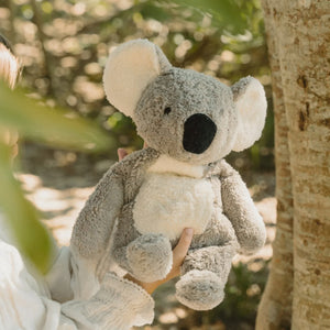 Cuddly Koala with Heat Pack in Organic Cotton/Lambswool (Limited Edition)