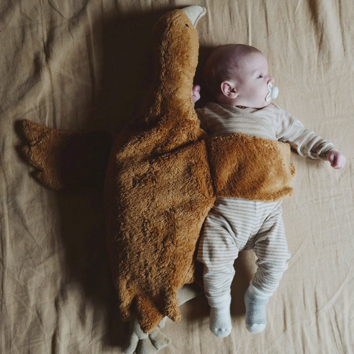 Cuddly Goose Toy/Heat Pack in Organic Cotton/Lambswool - Rust *Limited Edition