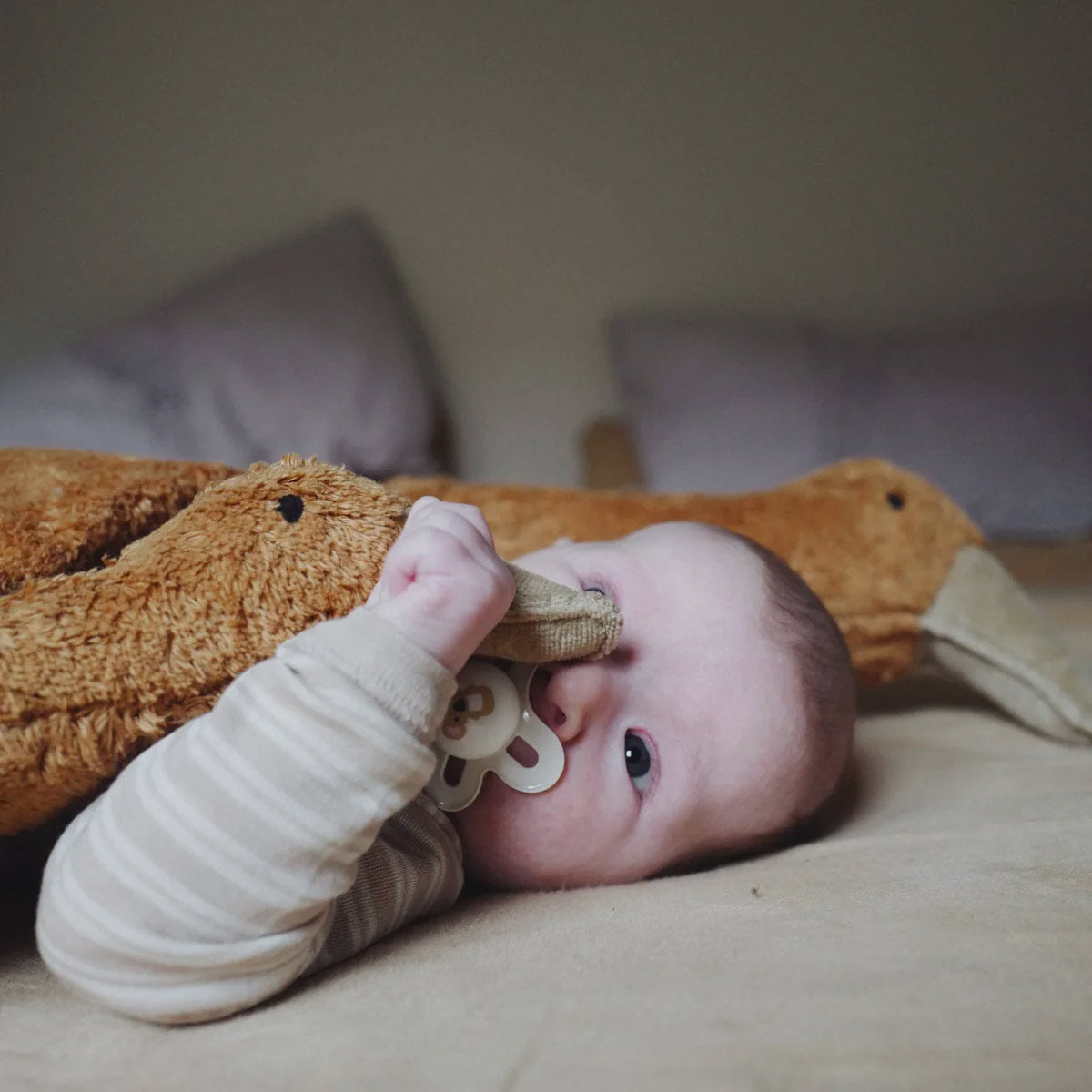 Cuddly Goose Toy/Heat Pack in Organic Cotton/Lambswool - Rust *Limited Edition