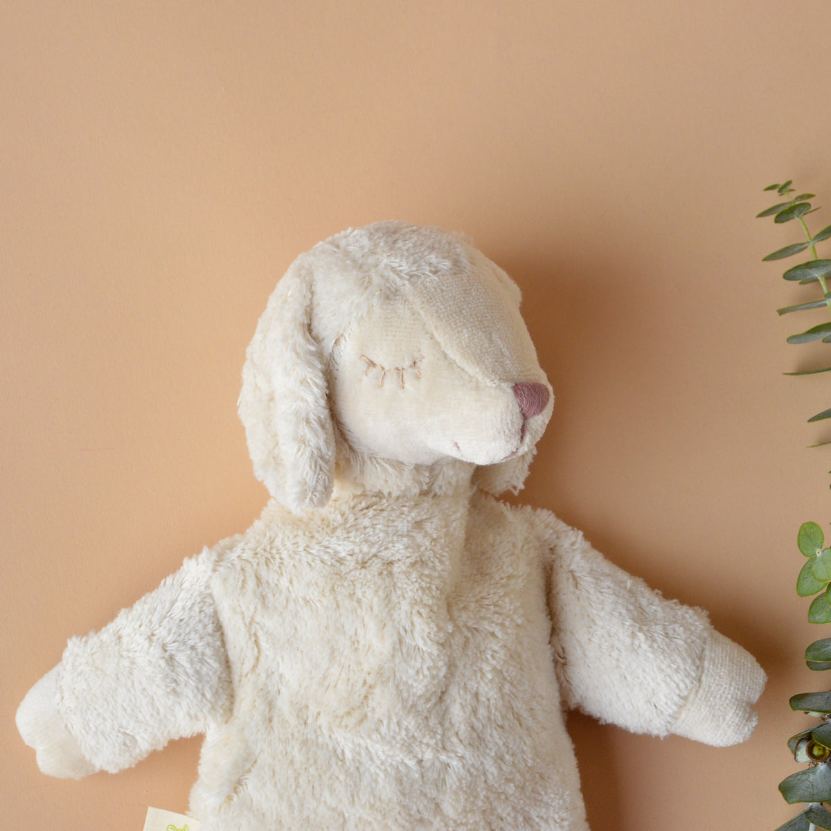 Cuddly Sheep Toy/Heat Pack in Organic Cotton/Lambswool - White (Small) *Returning 2026