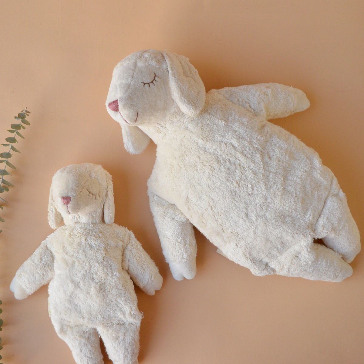 Cuddly Sheep Toy/Heat Pack in Organic Cotton/Lambswool - White (Large)