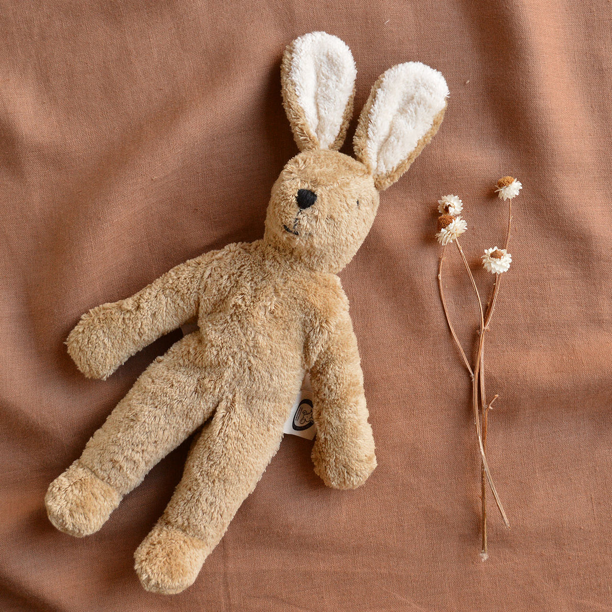 Floppy Bunny Rabbit Toy in Organic Cotton/Lambswool (Small)