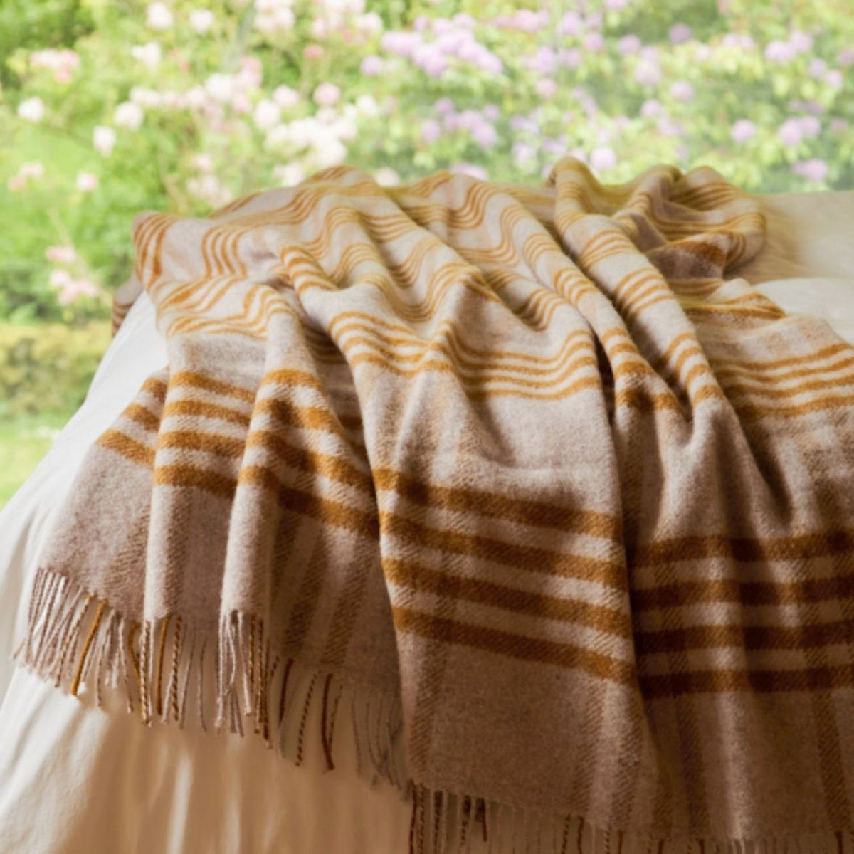 Extra Large Throw - 100% Wool - Hex Check - English Mustard (150x240cm)