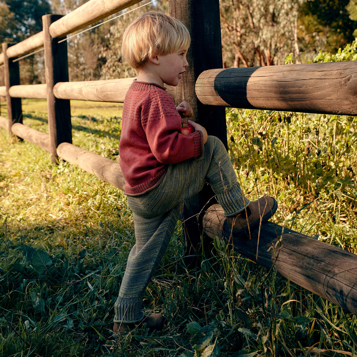 Baby Pantaloons - 100% Organic Plant Dyed GOTS Merino Wool (0-3y)