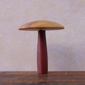Large Darning Mushroom