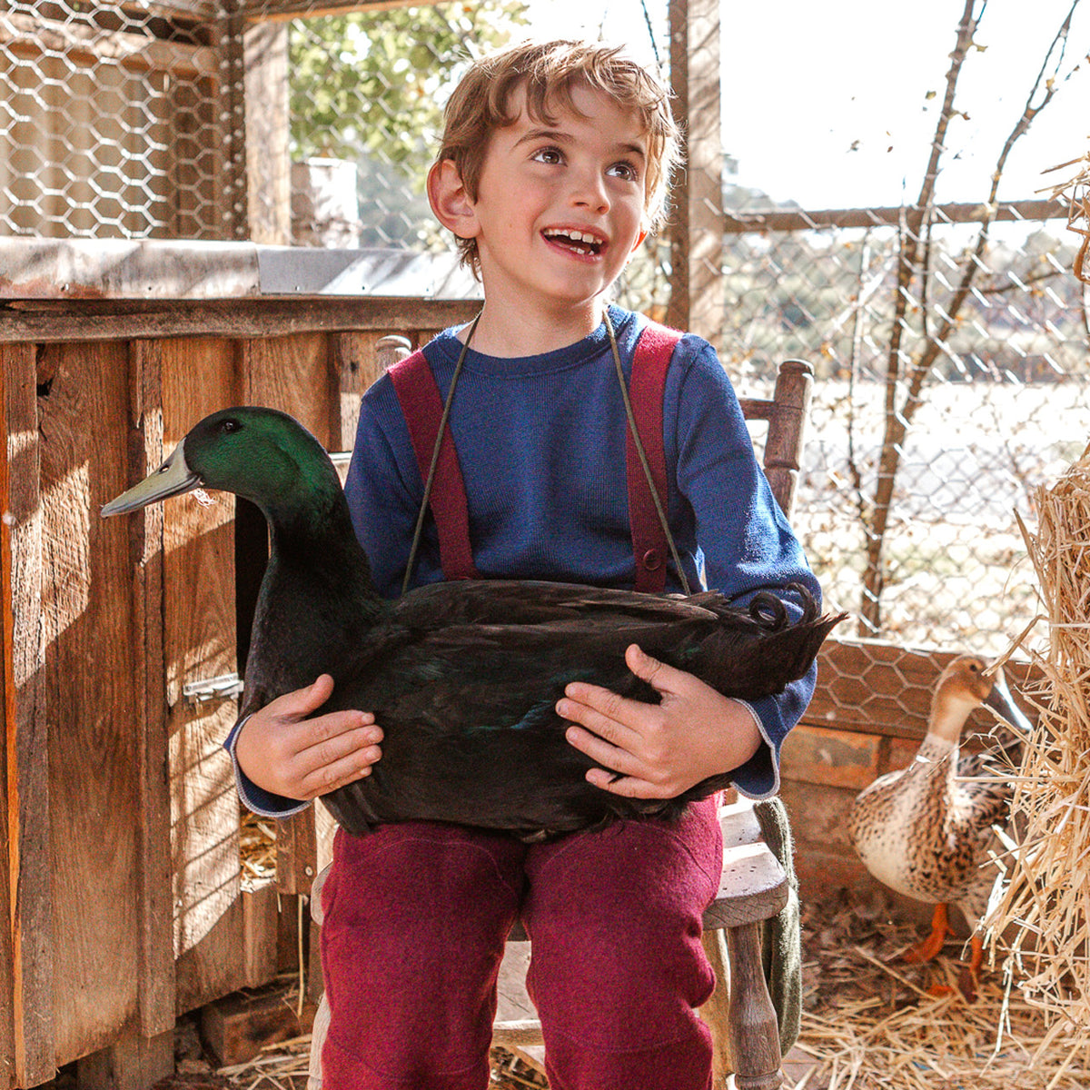 Boiled Wool Dungarees (1-8y) *Retired Style