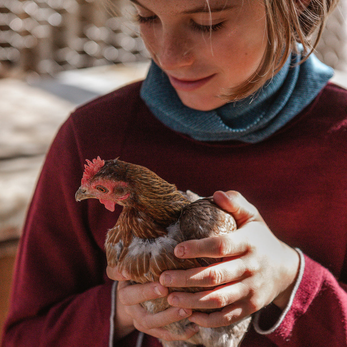 Knitted Merino Kids Jumper (1-10y)