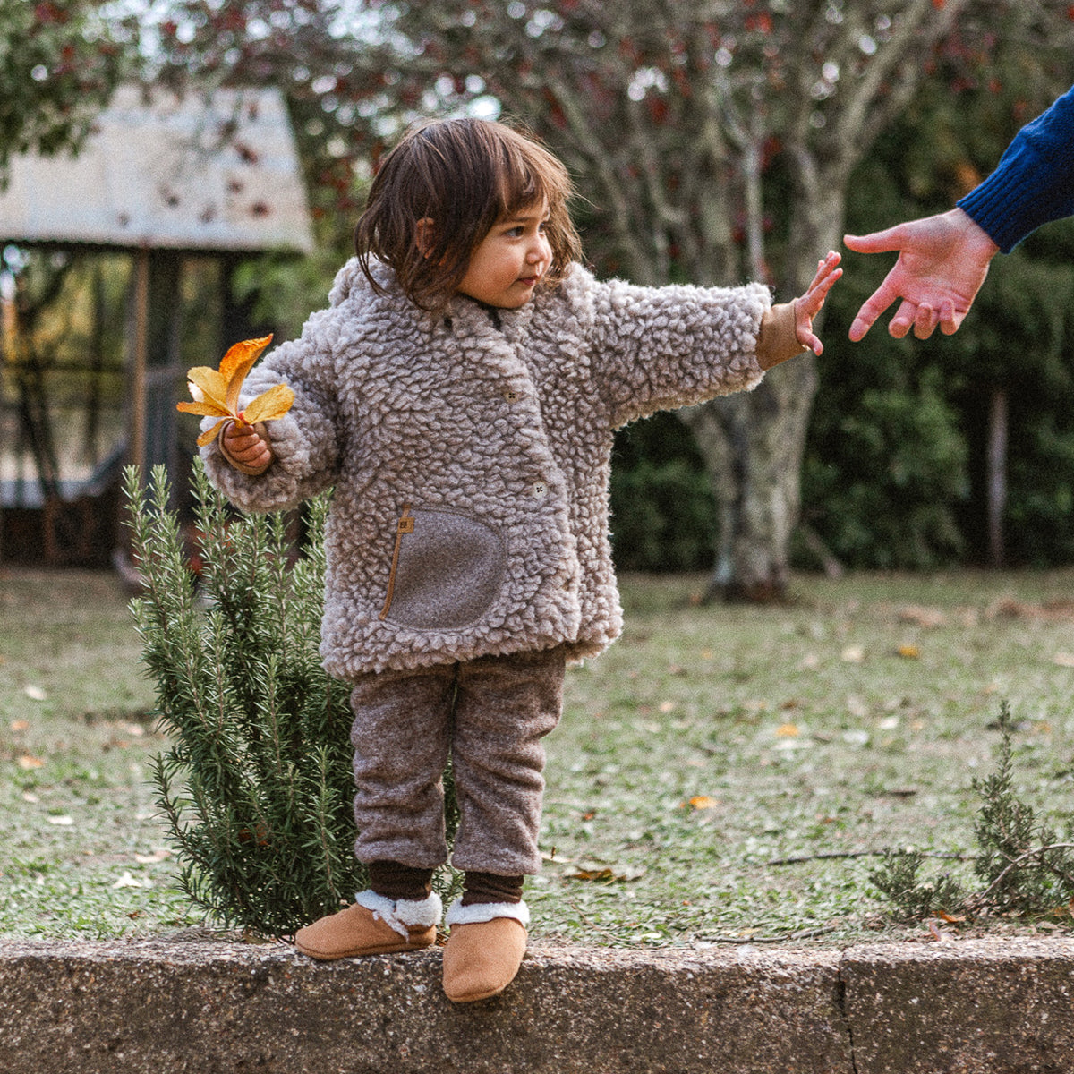 Plush Hooded Jacket - Wool/Tencel Teddy (1-8y) *Returning 2026