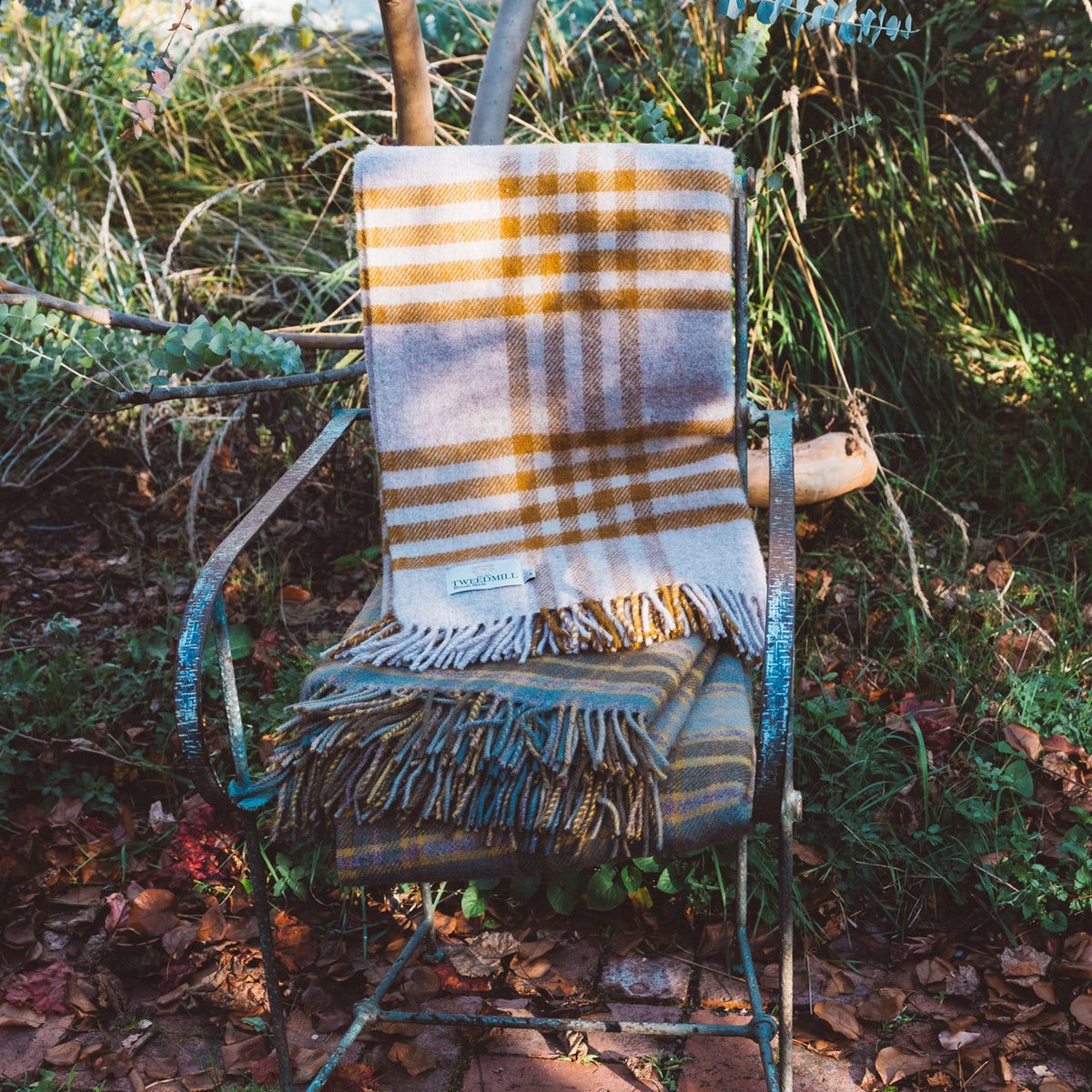 Extra Large Throw - 100% Wool - Hex Check - English Mustard (150x240cm)