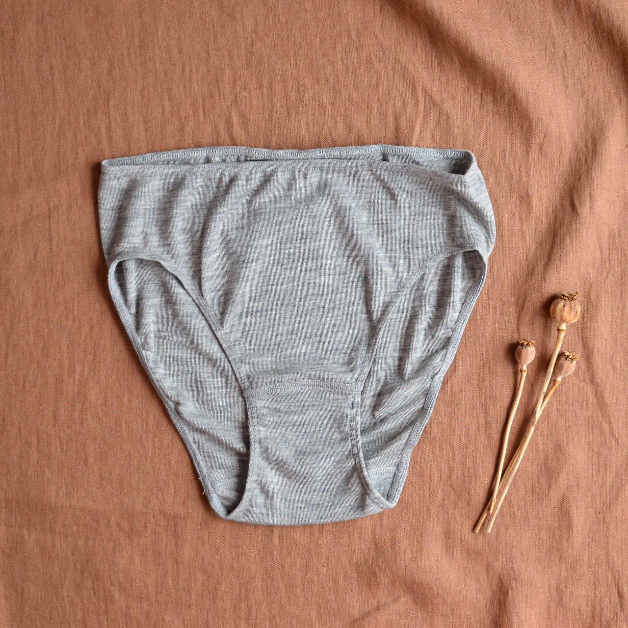 Women's Bikini Briefs in Organic Wool/Silk