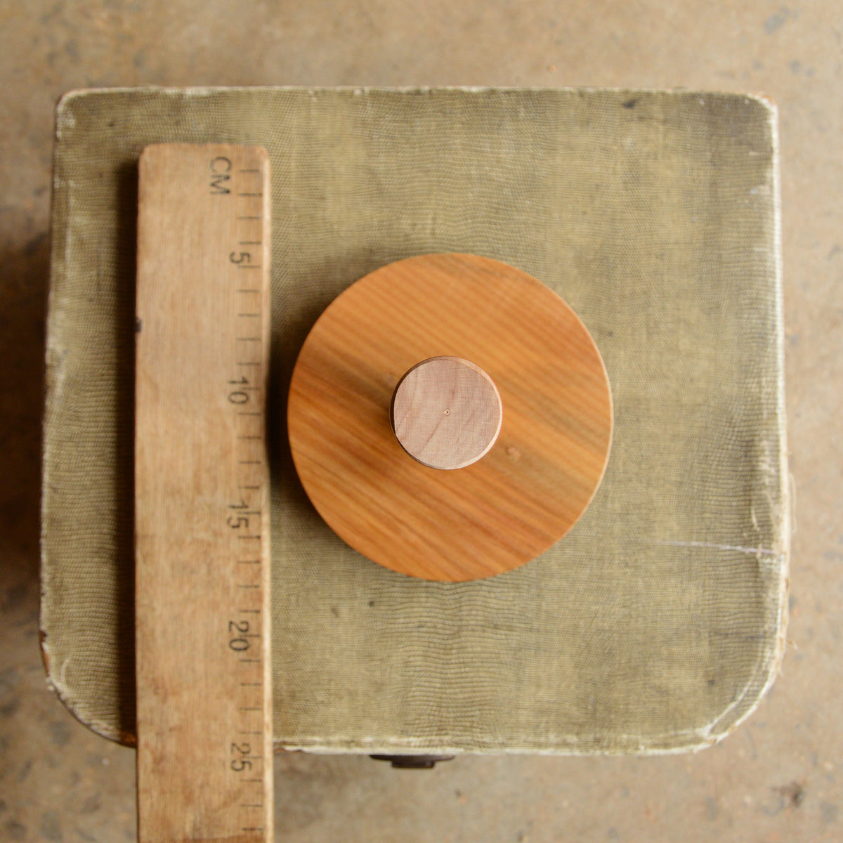 Large Darning Mushroom