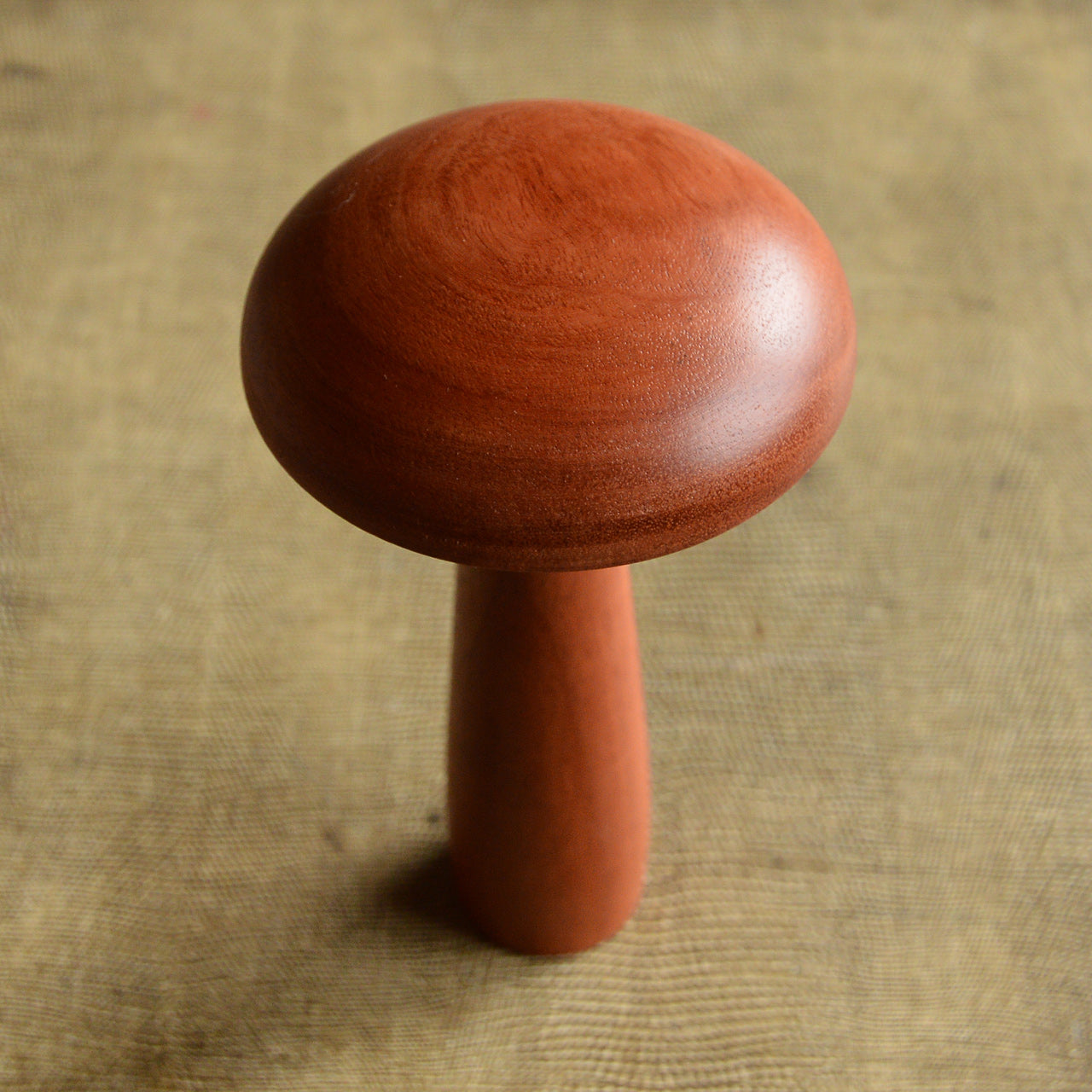 Little Darning Mushroom