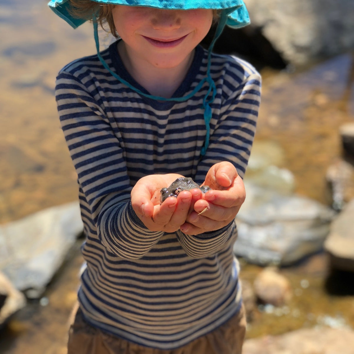 Child's Long Sleeve Top - 100% Organic Merino - Stripes (1-12yrs)